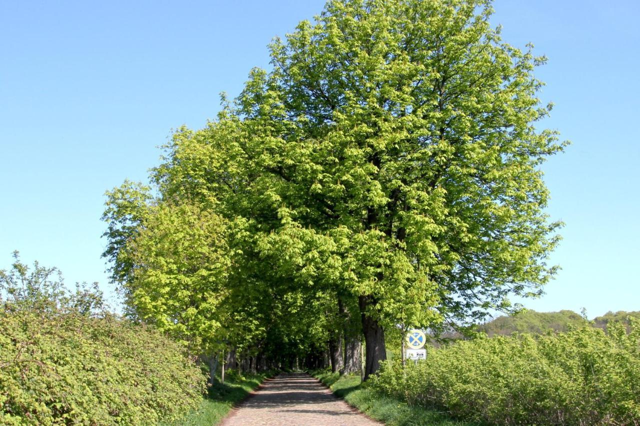 Viel Natur, Idyllische Umgebung, Ruhige Lage - Ferienpark Neddesitz Fewo 299 Exterior photo